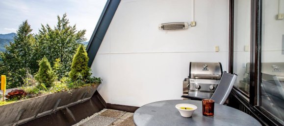 Studio in Bad Ischl, Austria No. 244043 6