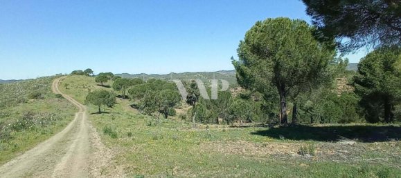 803240m² Land in Sao Bartolomeu de Messines, Portugal No. 9695 15