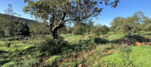 3 Schlafzimmer Haus in Alte, Portugal, Nr. 107485 42