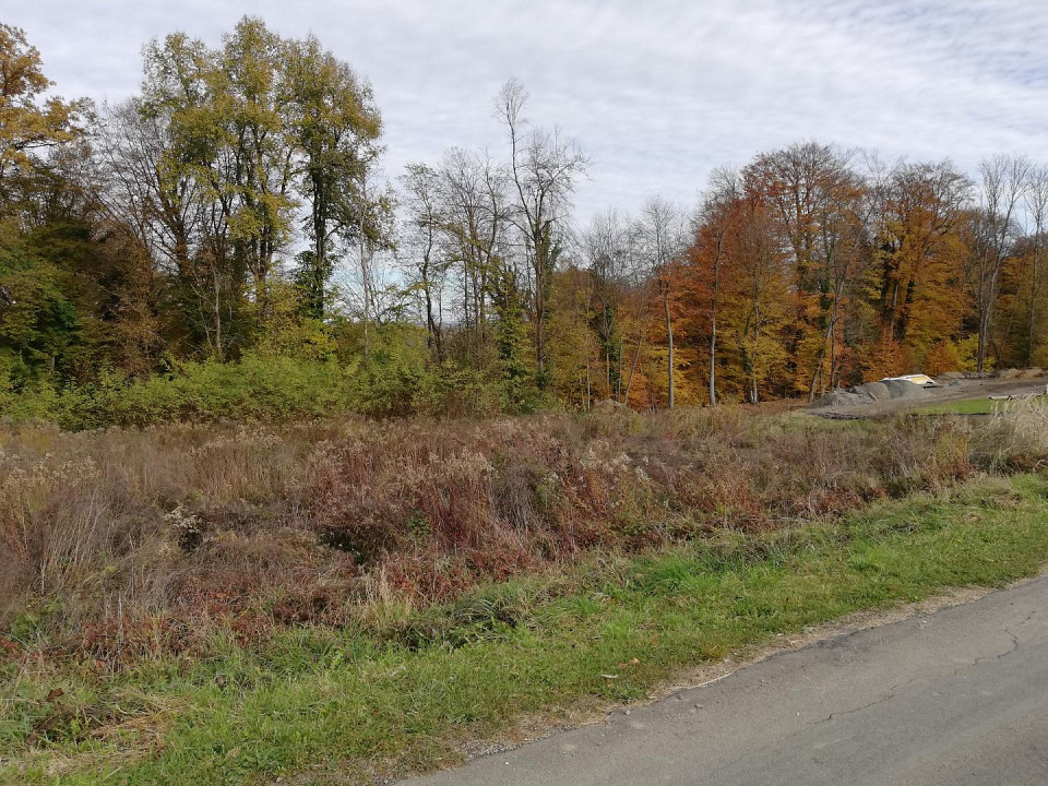 Terrain à Ehrenhausen an der Weinstrasse, Austria 1700m² No. 79125