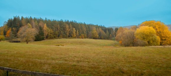 6 rooms Apartment in Selb, Germany No. 73895 12