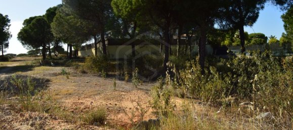 288m² Land in Almancil, Portugal No. 109117 4