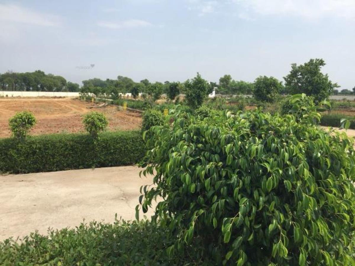  Land in Ghaziabad, India No. 31290