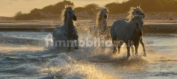 Villa T6 em Torchiarolo, Italy N.º 61294 9