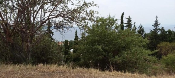 13000m² Land for sale in Chalkidiki, Central Macedonia, Macedonia and Thrace, Greece № 94985 2