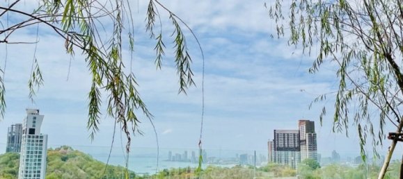 1 Schlafzimmer Eigentumswohnung in Chon Buri, Thailand, Nr. 11487 6