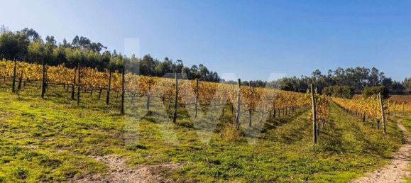 3 غرف نوم منزل في Guimaraes, Portugal رقم 158989 17