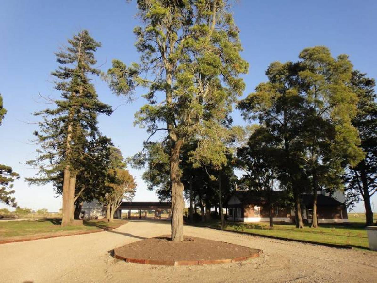 Grundstück in General Juan Madariaga, Argentina, Nr. 119497