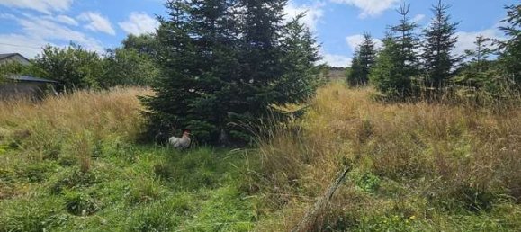 Casa T4 em Vulkaneifel, Germany N.º 316015 3