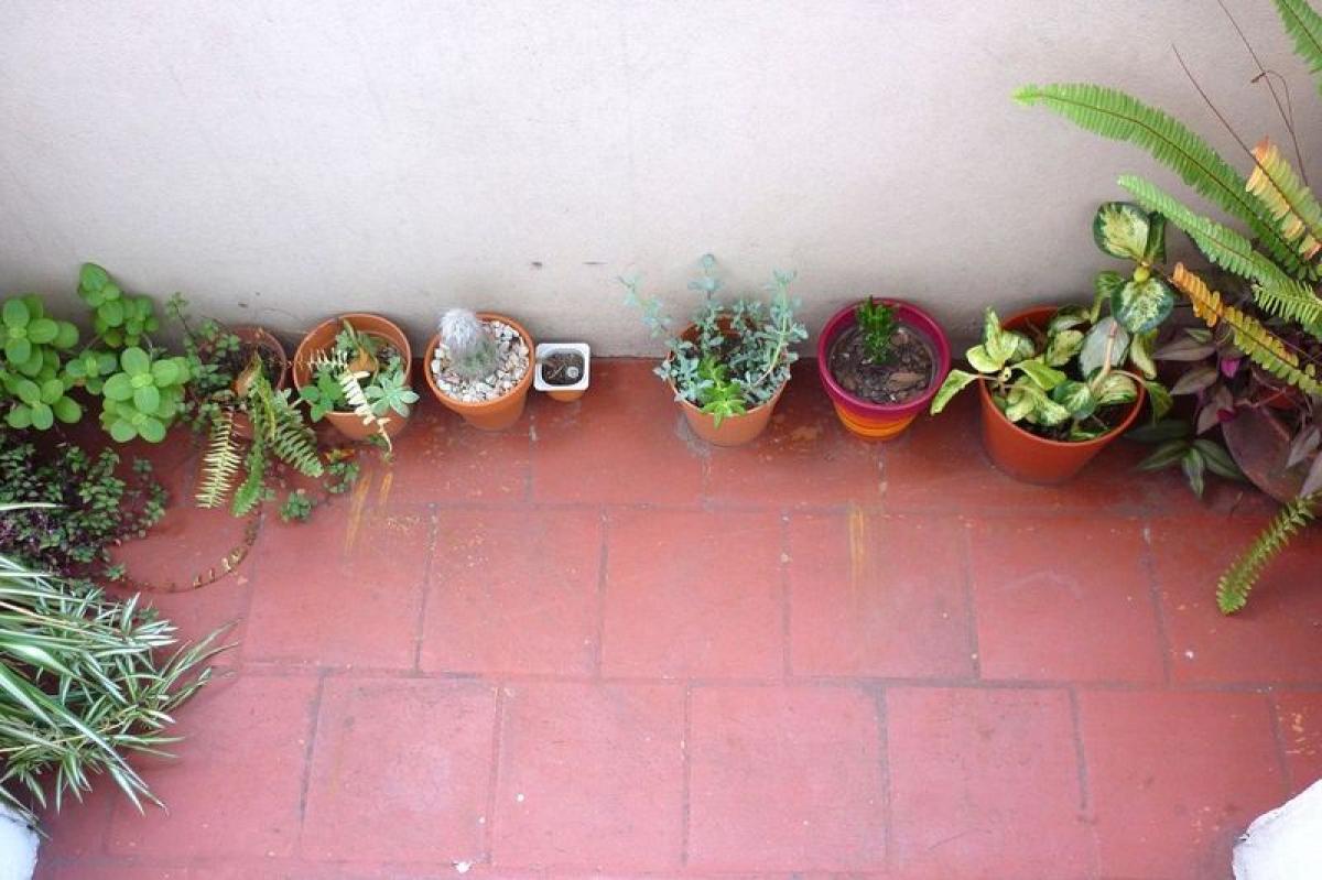 2 Schlafzimmer Haus in Buenos Aires, Argentina, Nr. 98608