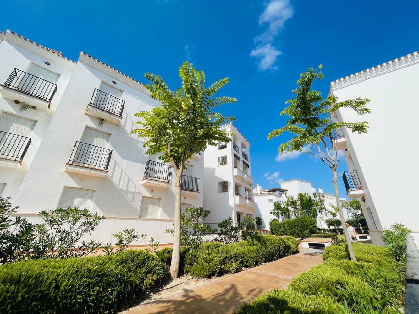 2 غرف نوم بانتهاوس في Torre-Pacheco, Spain رقم 168830