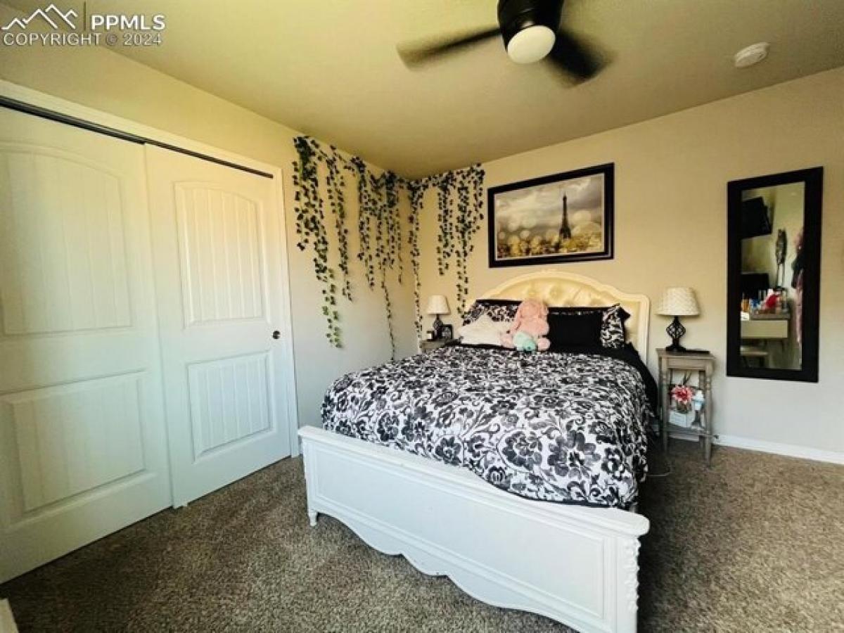 5 bedrooms House in Colorado Springs, USA No. 431432