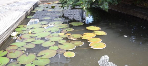 Пентхаус с 3 комнатами в Вупперталь, Германия № 370541 24