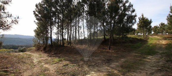 2 bedrooms House in Viana do Castelo, Portugal No. 177769 16