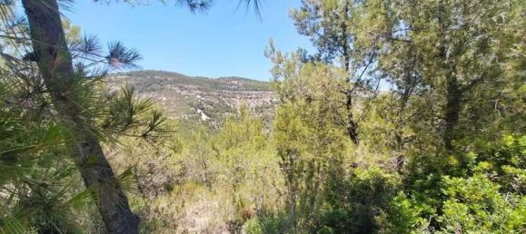  قطعة أرض في Alcala De Xivert, Spain 16000متر مربع رقم 190628 9