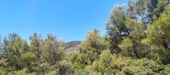  قطعة أرض في Alcala De Xivert, Spain 16000متر مربع رقم 190628 5