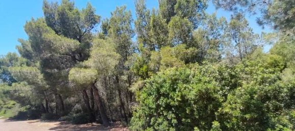  قطعة أرض في Alcala De Xivert, Spain 16000متر مربع رقم 190628 4