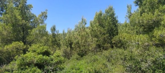  قطعة أرض في Alcala De Xivert, Spain 16000متر مربع رقم 190628 7