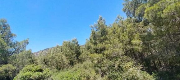  قطعة أرض في Alcala De Xivert, Spain 16000متر مربع رقم 190628 8