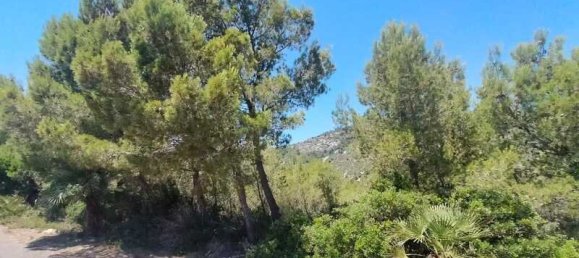  قطعة أرض في Alcala De Xivert, Spain 16000متر مربع رقم 190628 3