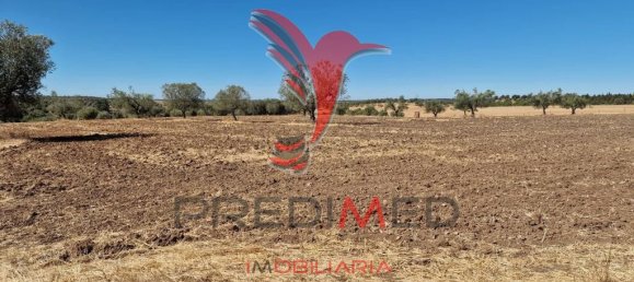 Земельный участок 33500м² в Торран, Португалия № 60261 20