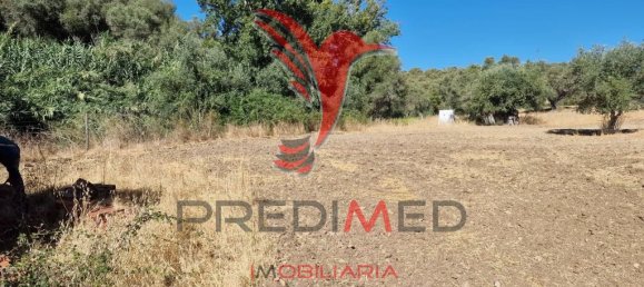 Земельный участок 33500м² в Торран, Португалия № 60261 17