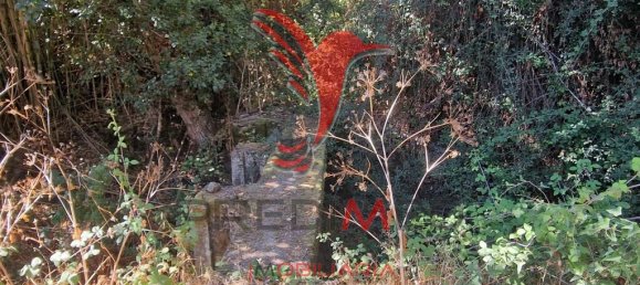 Земельный участок 33500м² в Торран, Португалия № 60261 6