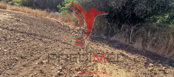 Земельный участок 33500м² в Торран, Португалия № 60261 16