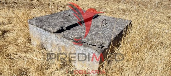 Земельный участок 33500м² в Торран, Португалия № 60261 5