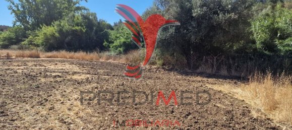 Земельный участок 33500м² в Торран, Португалия № 60261 11