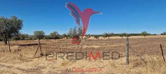 Земельный участок 33500м² в Торран, Португалия № 60261 13