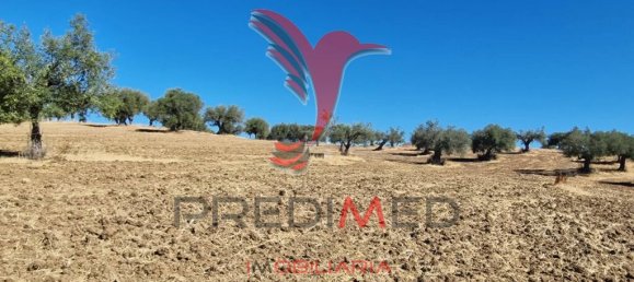 Земельный участок 33500м² в Торран, Португалия № 60261 15