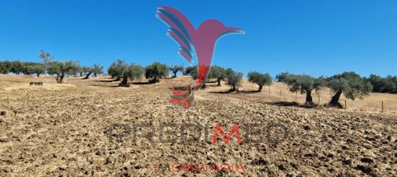 Земельный участок 33500м² в Торран, Португалия № 60261 14