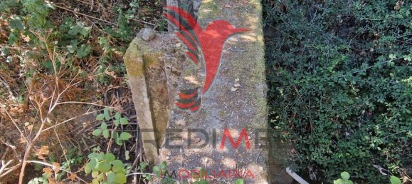 Земельный участок 33500м² в Торран, Португалия № 60261 7