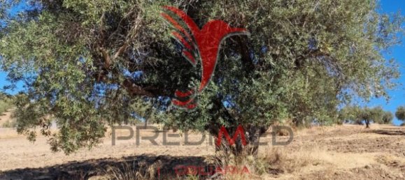 Земельный участок 33500м² в Торран, Португалия № 60261 18