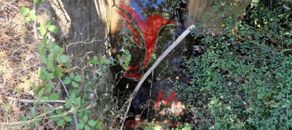 Земельный участок 33500м² в Торран, Португалия № 60261 8