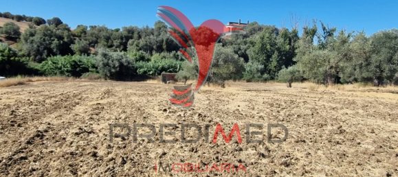 Земельный участок 33500м² в Торран, Португалия № 60261 10