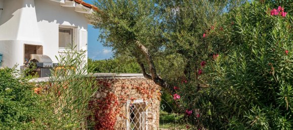 6 bedrooms Villa in San Teodoro, Italy No. 171045 9