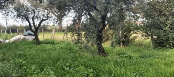 Casa de 7 habitaciónes en Velletri, Italy No. 291969 3