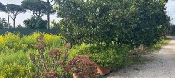 Casa de 7 habitaciónes en Velletri, Italy No. 291969 10