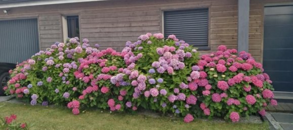 3 bedrooms House in Bouliac, France No. 341230 14