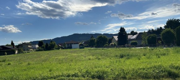 Terreno en Leibnitz, Austria No. 236715 4