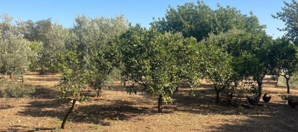 3 bedrooms House in Vejer de la Frontera, Spain No. 178749 15