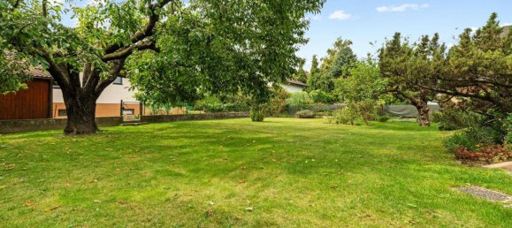 4-Zimmer Bungalow in Orth an der Donau, Austria, Nr. 247711 24