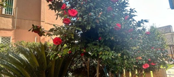 5 rooms Apartment in Anzio, Italy No. 203996 40