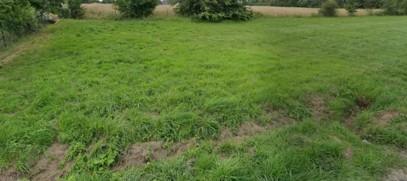 3-Zimmer Haus in Loire-Atlantique, France, Nr. 351731 6