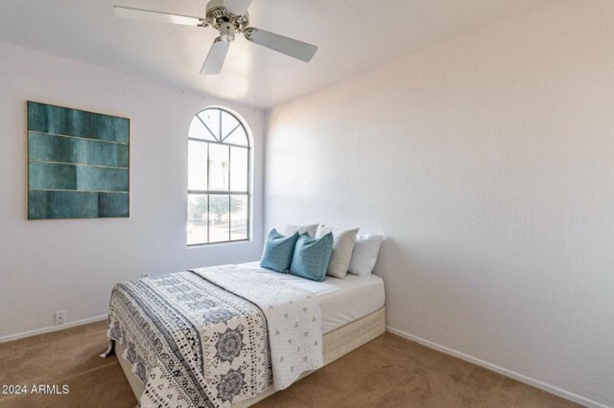 4 غرف نوم منزل في Scottsdale, USA رقم 372951