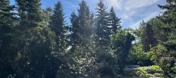 Земельный участок в Францёзиш-Буххольц, Германия № 307679 6