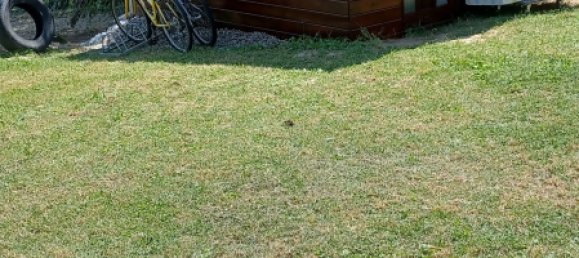 5 bedrooms House in Zalakaros, Hungary No. 233 7