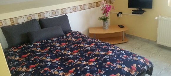 5 bedrooms House in Zalakaros, Hungary No. 233 19